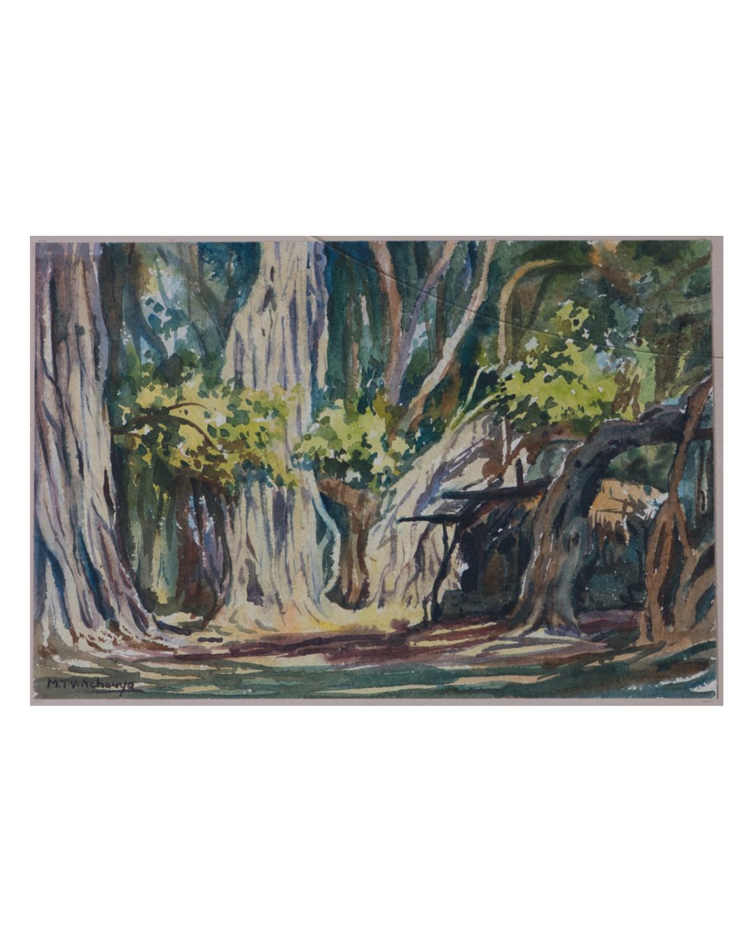 Banyan tree with village